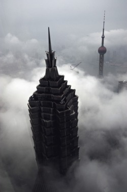 vistale:   Jin Mao Tower | via  