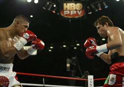 boxingsgreatest:              Fernanado Vargas Vs. ”The