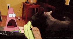 ¿Me quieres?