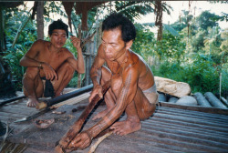   Mentawai, by Tom SchenauMaking the arrows and the deadly poison (also deadly for humans) before the hunt. A very skilful task. The daily routine of the Mentawai- tribe living on the island of Siberut 