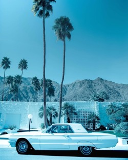 szanella:  La vie qu’on rêve.  #palmsprings earlier this year.