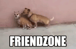 Gennyes Csecsemő