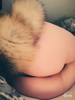 sagepuppy:What what puppy butt I wish I could use my silicone