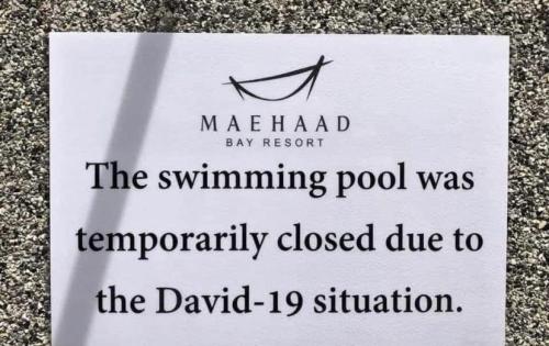 articulate-anxious-atheist:chewedcorn:The pool really hates David