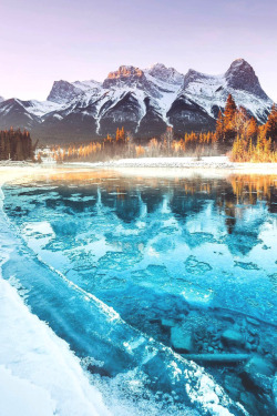 lsleofskye:  Untitled | joemackiLocation:  Canmore, Rocky Mountains,