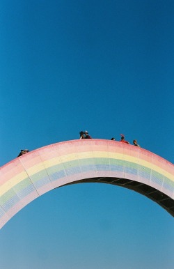ahorsenamedsandiego: Rainbow Road. Photo: Austin Goldberg @digitalhaircut