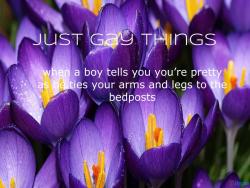 Just Cute Gay Things