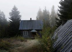 catsbeaversandducks:Abandoned House in the Woods Taken Over by