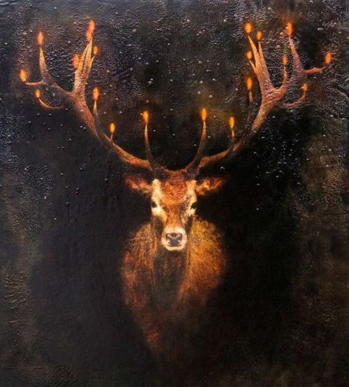 enchantedbook:    ‘Keeper of the Light’ by Maggie Hasbrouck
