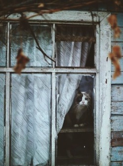 oldfarmhouse:Autumn 🍂Mood  http://pin.it/8lBXXp8