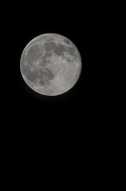 noahsiano:  Take a look outside your windows, tonight is a supermoon!