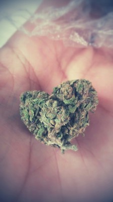 I’m in love with good weed