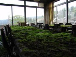 destroyed-and-abandoned:  Mossy table tops at an abandoned hotel