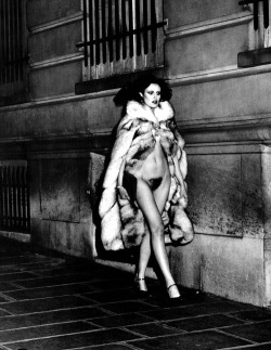 vivipiuomeno:  Helmut Newton ph. , Lady in Fur …. and now,