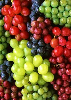 oatsandyoga:  fitnire:  I love grapes   i want green grapes so