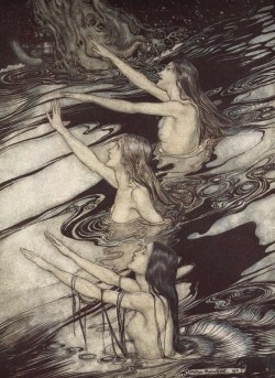 sakrogoat:Arthur Rackham - Siegfried and the Twilight of the