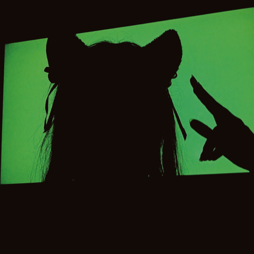 greedygreengirl:Should I post some anime characters who fit my