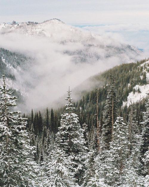 visitportangeles:  ☁️ up in the clouds ☁️ with @film.byash