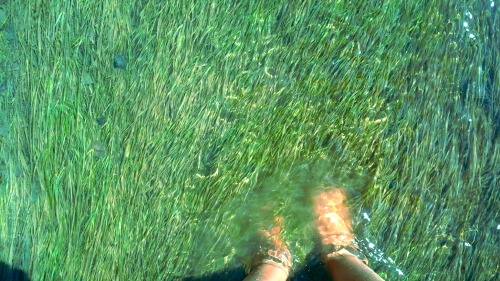 moon-meadows:  Loved the water flowing over the grass, felt like I was in Spirited Away. Had to dip my feet in :) 