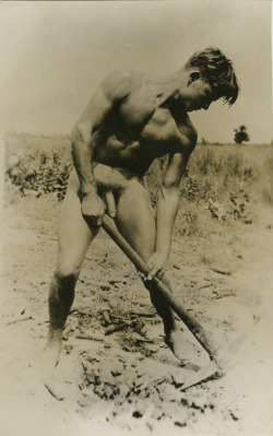 vintagemusclemen:  Tonight’s theme is “digging in the dirt.”