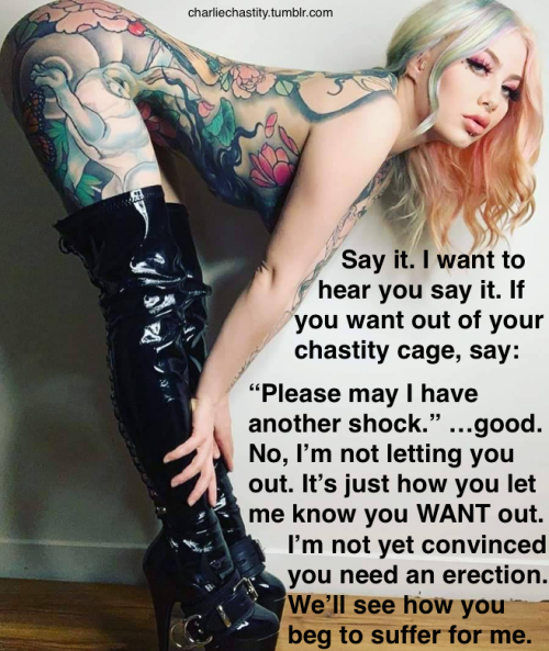 Say it. I want to hear you say it. If you want out of your chastity