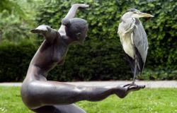 The fine balance between man and nature (Great Blue Heron)