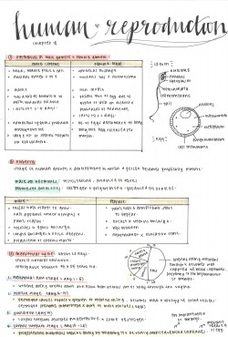 studious-annabeth:  Aug 13, 2016 | Biology - Human Reproduction