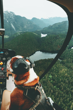 tryintoxpress:  Pilot - Photographer ¦ Lifestyle - Nature