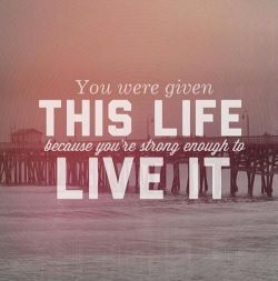 Love Life. en We Heart It. http://weheartit.com/entry/68978401/via/xxsamanthaa