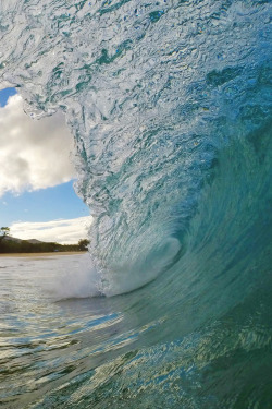 heaven-ly-mind:  morning swell 