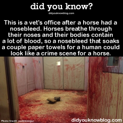 did-you-kno:  The picture was originally posted on reddit by