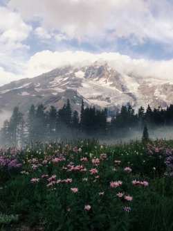 whenitallturnstodust:  Mt Rainier National Park, Washington #artistinitiative