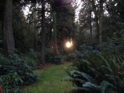 gnarlyufo:we went searching for the sun and found it tucked away