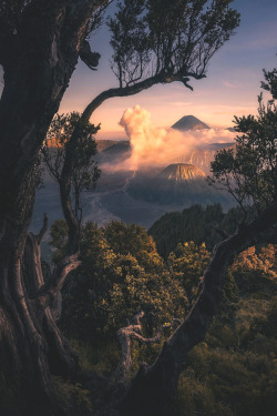 lsleofskye:  The active volcanos of Mt Bromo and Mt Semeru in