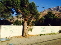 TweakerTown, California. Headed towards the desert.