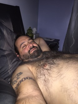 furryjoebear:  Waking up hard!!!   Damn hot cock!!!