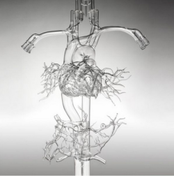 sixpenceee:  Anatomically correct vascular systems made from