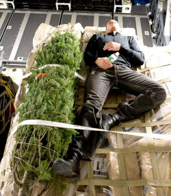 Randy Orton laying next to a Christmas tree.
