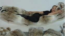 fur-fetish:  A fur hammock?A fur hammock? Why not? We’ve talked