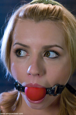 gaggedslave:   lexi belle ball gagged what more could i ask for