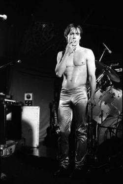 cultureorder:  Iggy Pop