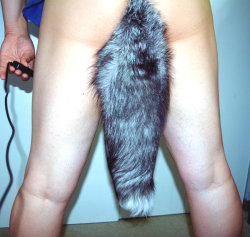 thespankacademy:  idschlicktothat:  It’s so cute and soft. Tail