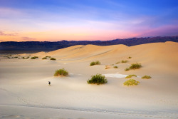 sickpage:  Andrew MaceLeaving. Sunrise over Mesquite Dunes, Death