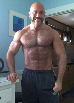 hairytreasurechests:   If you also like hairy and older men who