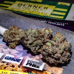 weedporndaily:  by @thedraftdodger