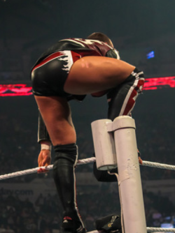 rwfan11:  Daniel Bryan ….how can you not like this view!? 