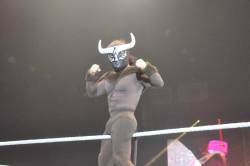 rwfan11:  El Torito- bulge shot ….I guess BIG things really