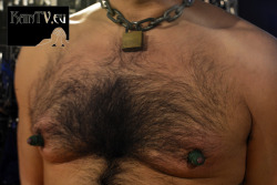 kaintv: #gay #BDSM #slave #nipples #TT #realpain www.kaintv.eu