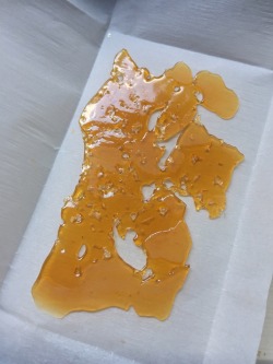 veeveeganja:  Candyland Nug Run by Elusive Extracts  i want thisssssss