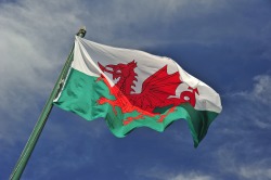 wales:  the-unpopular-opinions:  These sexuality/gender type